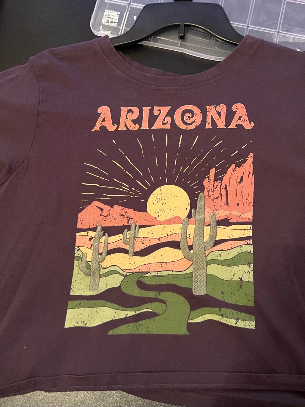 Arizona Desert Cropped Graphic Tee